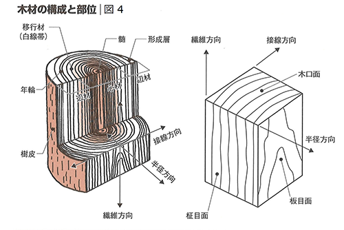 第2回 木材の特性と木構造の基礎知識を知る Sein Web