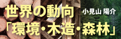 世界の動向「環境・木造・森林」